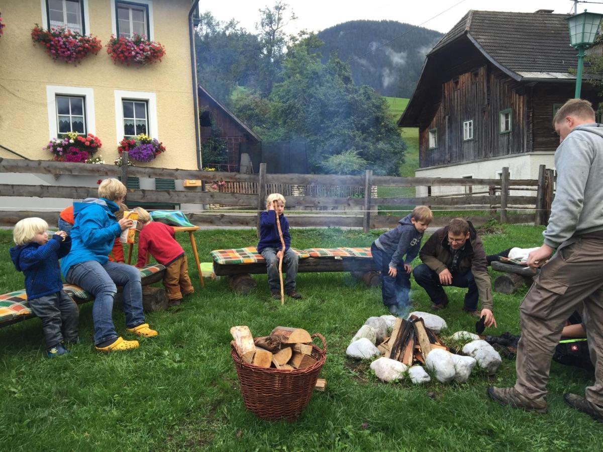 Pichlerhof Sommmercard - Urlaub Am Bauernhof Birnberg Luaran gambar